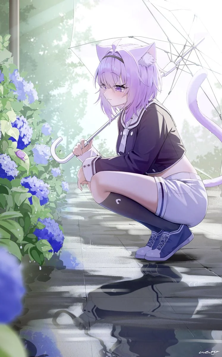梅雨と猫